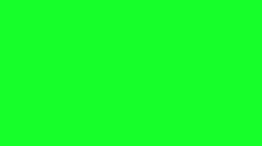 Animated police line do not cross in high resolution