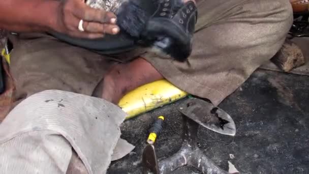 路边鞋匠在擦亮人类皮鞋时拍的稳定照片 — 图库视频影像
