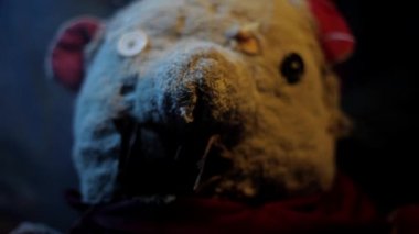 Yüksek kaliteli HD görüntülerde oyuncak ayıyı yakın çekim..