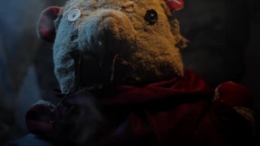 Yüksek kaliteli HD görüntülerde oyuncak ayıyı yakın çekim..