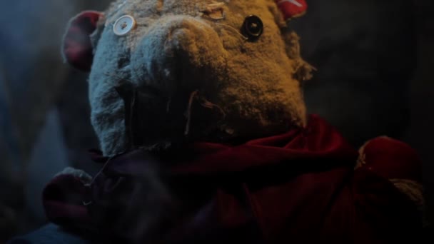 Nahaufnahme Von Teddybär Dramatischer Beleuchtung Hoher Qualität — Stockvideo