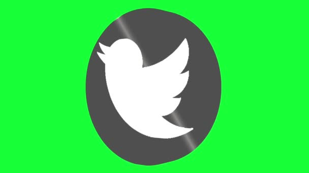 Logotipo Twitter Animado Loopable Girando Resolución Uhd Pantalla Verde — Vídeo de stock
