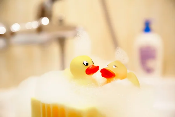 Bain, baignade, mousse de bain, jouets, canard — Photo