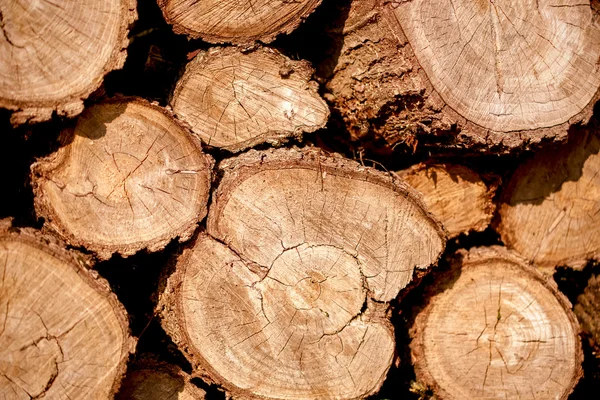 Yakacak odun, kırsal. Odun kesmek