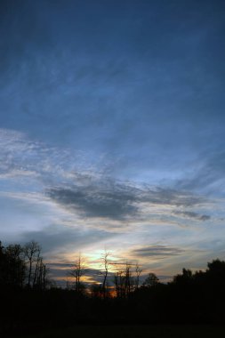 Sabahın köründe. Doğa uyanıyor..