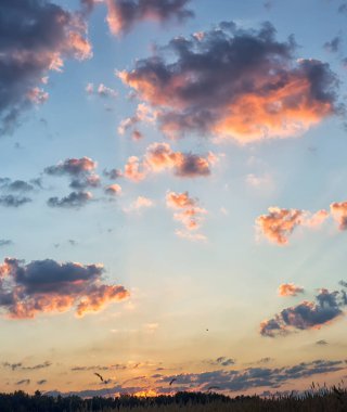Sabahın köründe. Doğa uyanıyor..