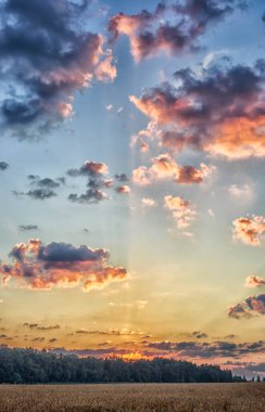 Sabahın köründe. Doğa uyanıyor..