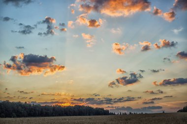 Sabahın köründe. Doğa uyanıyor..