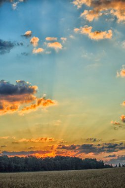 Sabahın köründe. Doğa uyanıyor..