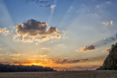 Sabahın köründe. Doğa uyanıyor..