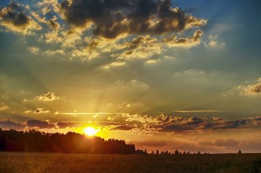 Sabahın köründe. Doğa uyanıyor..