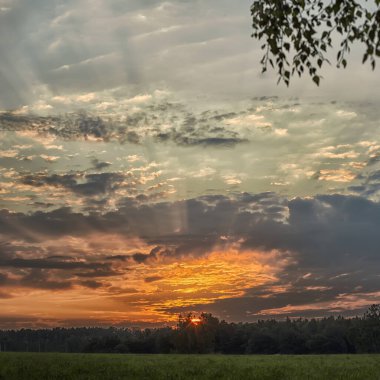 Sabahın köründe. Doğa uyanıyor..