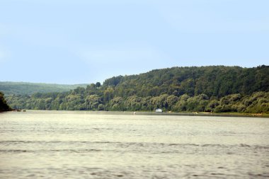 Nehir manzarası güzelmiş. Kırsal bir alanda. Doğa hakkında.