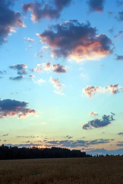 Temprano Mañana Amanecer Naturaleza Está Despertando — Foto de Stock