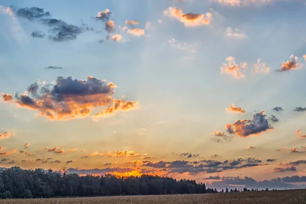 Sabahın köründe. Doğa uyanıyor..