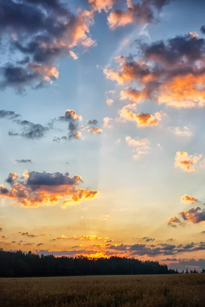 Sabahın köründe. Doğa uyanıyor..