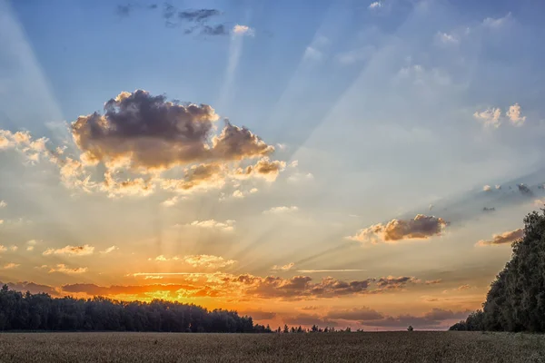Sabahın köründe. Doğa uyanıyor..