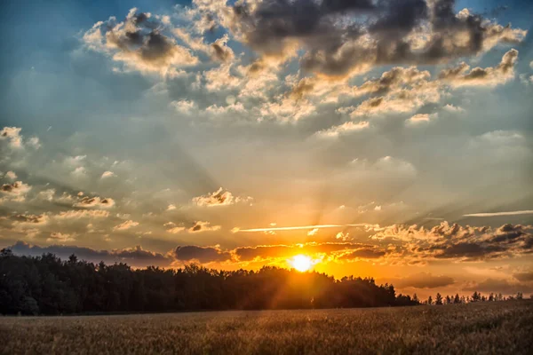 Sabahın köründe. Doğa uyanıyor..