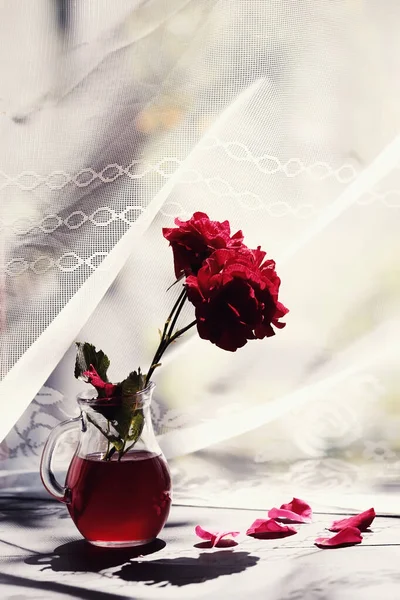 Still Life Vase Lonely Rose Flower — Stock Photo, Image