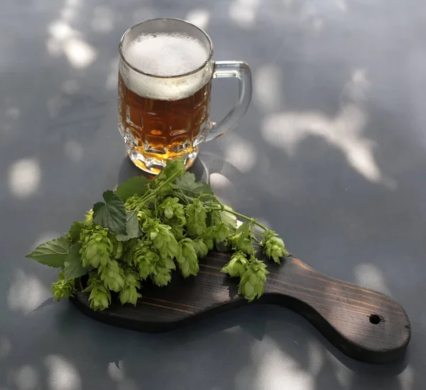 Das Ist Hopfen Hopfenstiel Und Früchte Becher Bier — Stockfoto