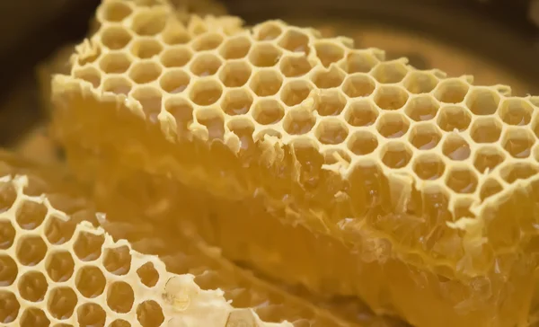Apicultura, dulce, miel, productos naturales de la granja —  Fotos de Stock