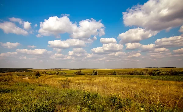 Manzara, yaz, bulutlar
