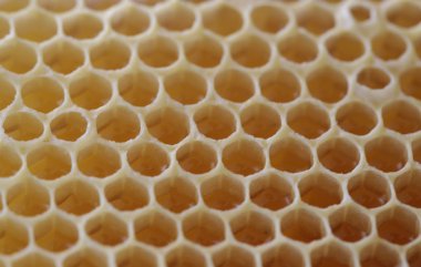 Lezzetli tatlım, Petek Bal