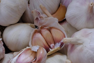 Mutfakta taze beyaz sarımsak var.