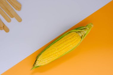 Sarı mısır, tarladan taze geldi, mutfağa yerleştirildi..