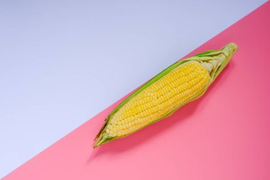 Sarı mısır, tarladan taze geldi, mutfağa yerleştirildi..