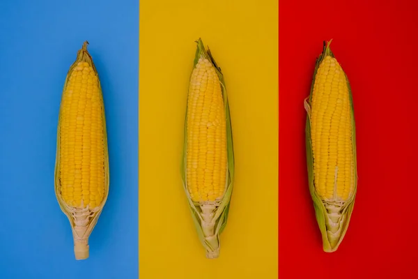 Yellow Corn Fresh Fields Placed Kitchen — Stock Photo, Image