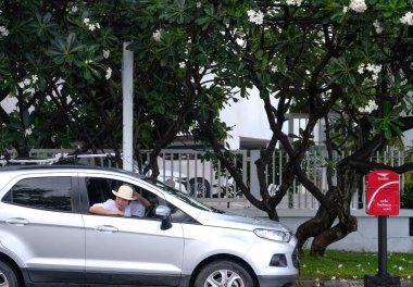 Yaz boyunca araba kullanan Asyalı kadınlar