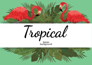 tropikal yapraklar arkaplan yeşil illüstrasyon vektör tasarımı