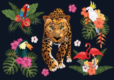 Tropik cennet elementleri yaprakları meyveleri ve kuşları izole eder 