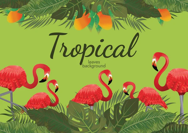 Tropical Leafs Background Green Illustration Vector Design — Stock Vector