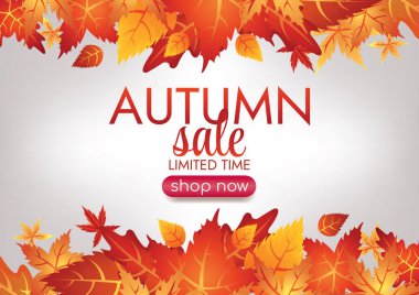 Sonbahar sezonu sanat vektörü Sprcial Art arka planı 