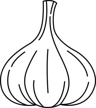 sarımsağın siyah beyaz çizimi