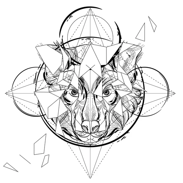 Kurt baş düşük Poli kroki.