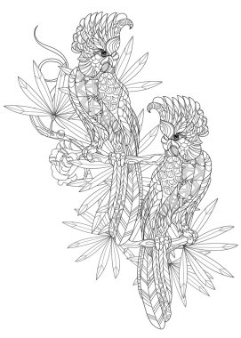 Zentangle stilize papağan. Elle çizilmiş vektör