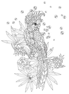 Zentangle stilize papağan. Elle çizilmiş vektör