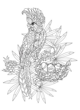 Zentangle stilize papağan. Elle çizilmiş vektör