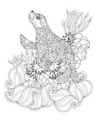 Elle çizilmiş doodle anahat deniz aslanı.