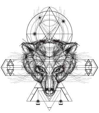 Ayı baş doodle önden görünümü