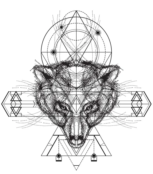 Ayı baş doodle önden görünümü