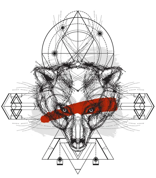 Ayı baş doodle önden görünümü