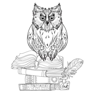 Kuş baykuş kitaplar