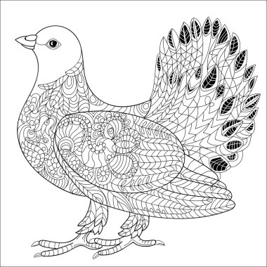 Güvercin doodle.