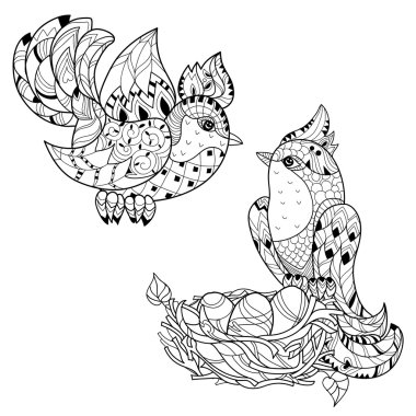 Zentangle kroki kuş yuva üzerinde. Elle çizilmiş doodle.