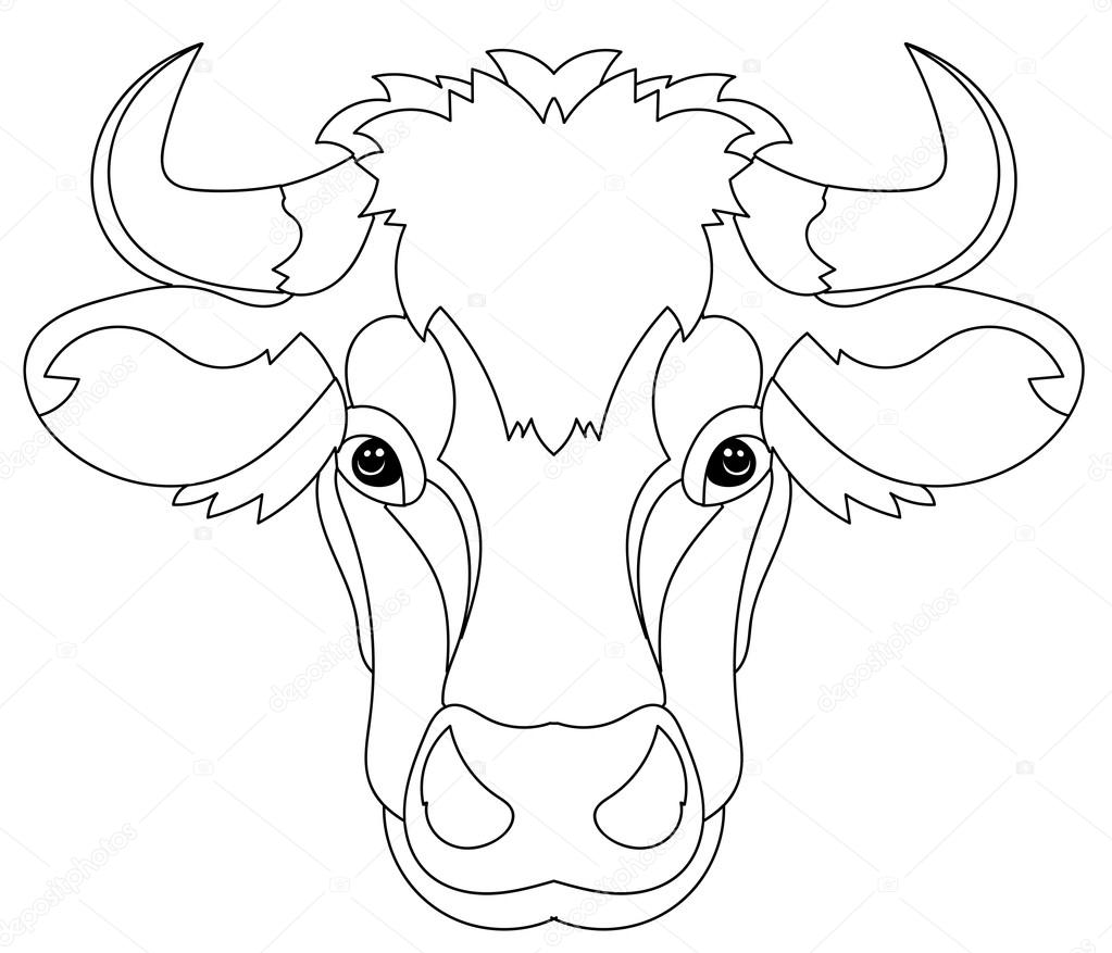 Hand drawn doodle outline cow head