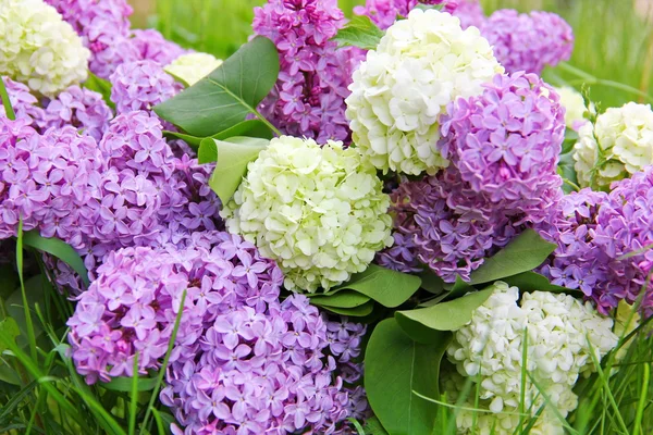 Bukett av blommor lila och viburnum dekorativa — Stockfoto